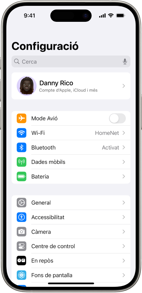 Pantalla de l’app Configuració mostrant que l’iPhone està connectat a una xarxa Wi‑Fi anomenada HomeNet.