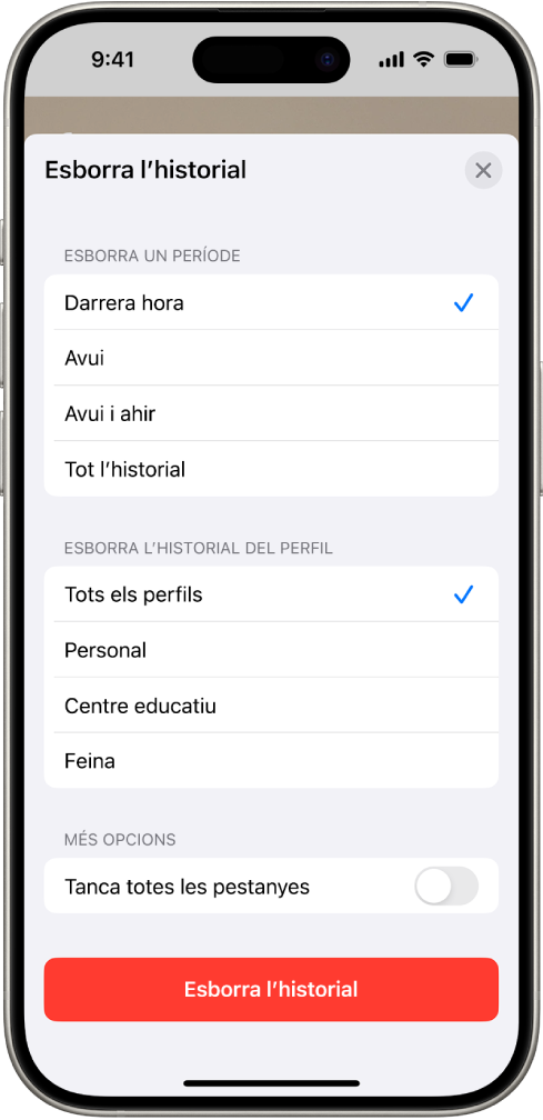El menú “Esborra l’historial”. A sota d’“Esborra un període”, s’ha seleccionat “Darrera hora”. A sota d’“Esborra l’historial del perfil”, s’ha seleccionat “Tots els perfils”. A la part inferior de la pantalla hi ha el botó “Esborra l’historial”.
