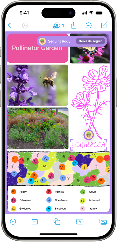 L’app Freeform mostra que se segueix una persona: la seva vista, el seu avatar i un ítem seleccionat estan marcats en lila.