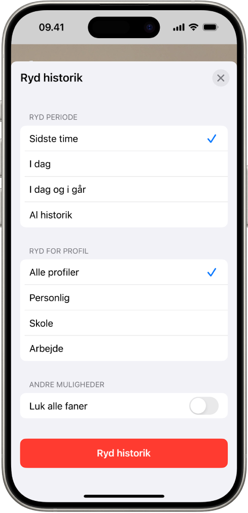Menuen Ryd historik. Under Ryd periode er Sidste time valgt. Alle profiler er valgt under Ryd for profil. Knappen Ryd historik findes nederst på skærmen.