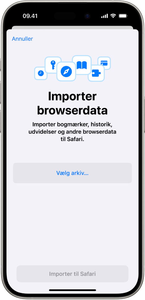 Skærmen Importer browserdata, som viser data fra en anden browser, der skal importeres til Safari.