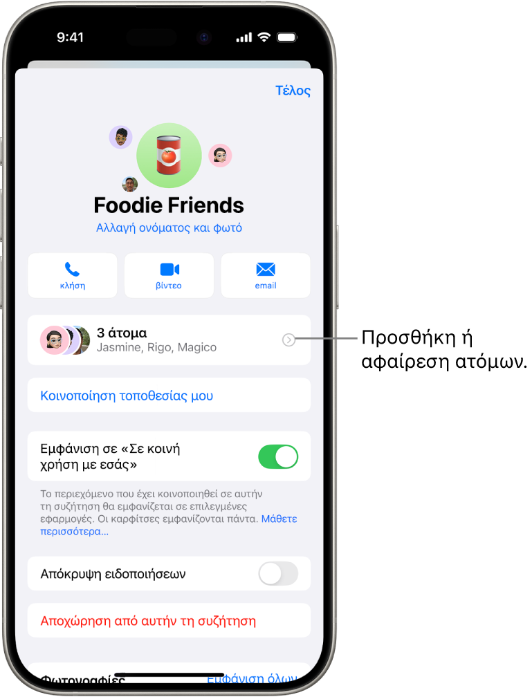 Οι λεπτομέρειες της συζήτησης για μια ομάδα.