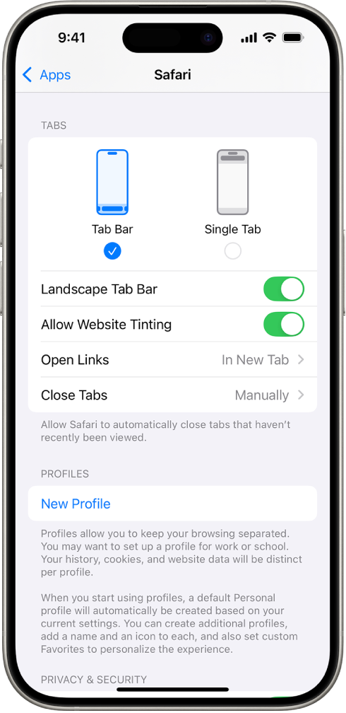 A screen showing two Safari layout options: Tab Bar and Single Tab.
