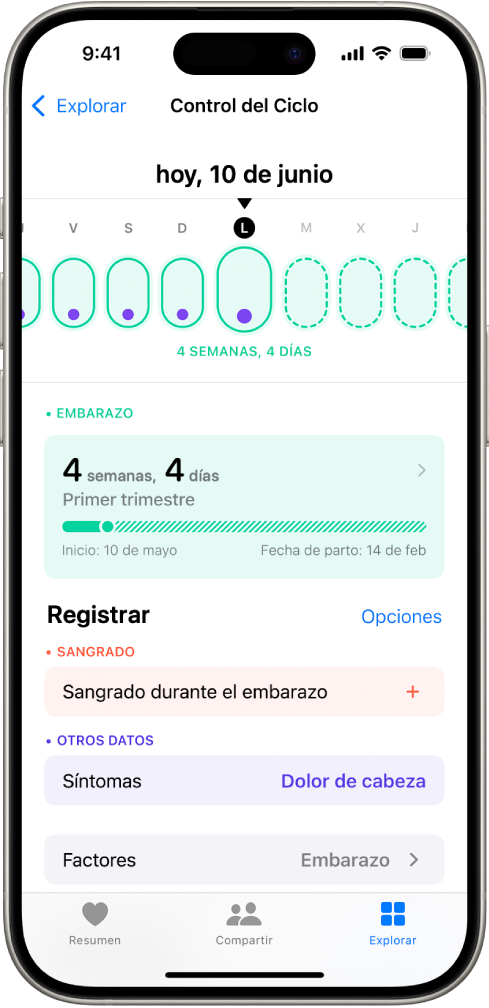Pantalla “Control del ciclo” con una línea de tiempo de embarazo de una semana en la parte superior de la pantalla. Los óvalos verdes claros y los puntos morados marcan los primeros 5 días en la línea de tiempo. Los óvalos verde claros con la línea discontinua marcan los demás días de la línea de tiempo. Debajo de la línea está el resumen del embarazo que muestra la edad gestacional, la fecha de inicio y la fecha prevista de parto. Debajo de la línea de tiempo hay opciones para añadir información sobre sangrado durante el embarazo, síntomas, etc.