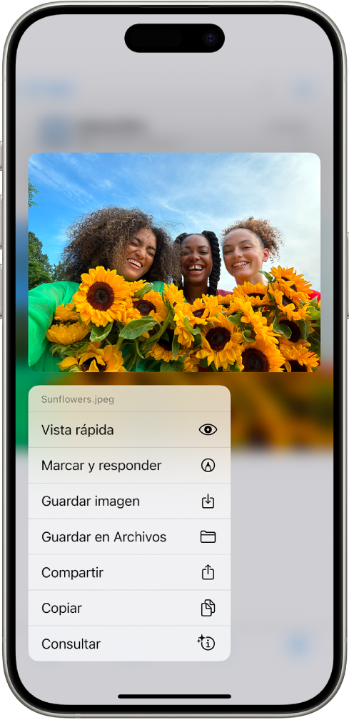 Archivo adjunto seleccionado con las posibles acciones indicadas.