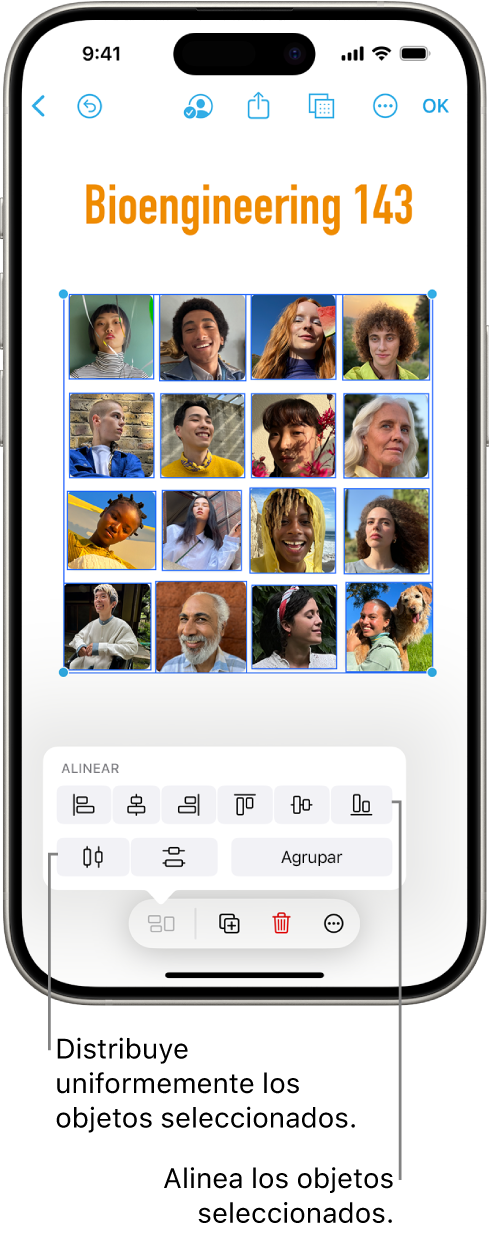 Pizarra de Freeform llena de una cuadrícula de fotos. Se seleccionan varias fotos y las herramientas de alineación y agrupación aparecen encima de ellas.