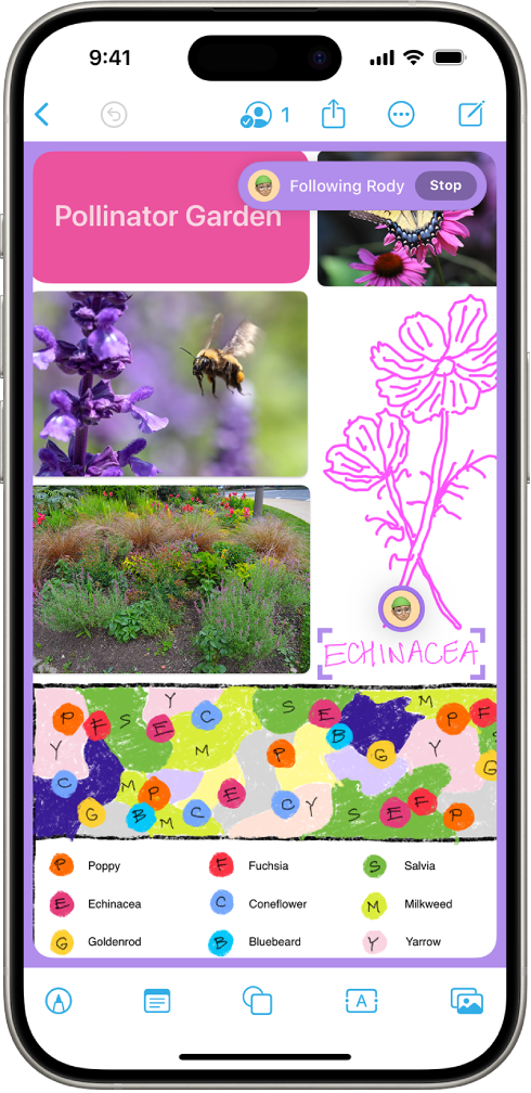 Freeform ઍપ કોઈને તેમના વ્યૂ, અવતાર અને પર્પલ રંગમાં અંકિત સિલેક્ટ કરેલી આઇટમ સાથે ફૉલો કરવામાં આવી રહ્યાં હોવાનું બતાવે છે.