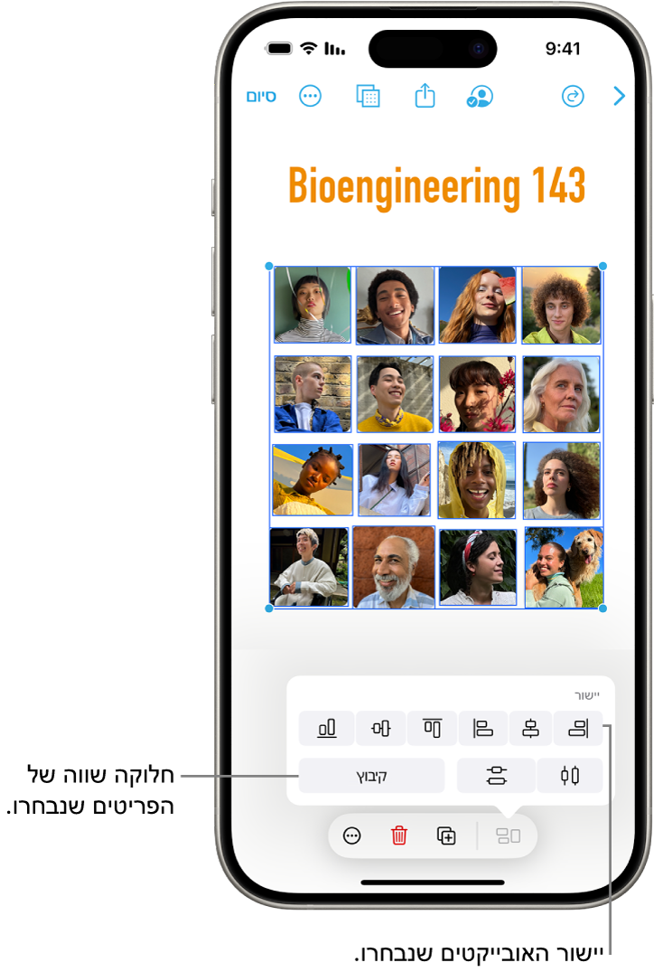 ללוח Freeform שמלא ברשת של תמונות. ניתן לראות שמספר תמונות נבחרו, והכלים ליישור ולקיבוץ מופיעים מעליהם.