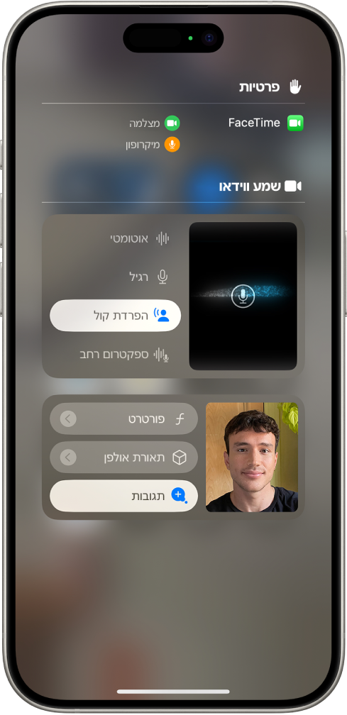 הגדרות ״מרכז הבקרה״ עבור שיחות FaceTime המציגות את ההגדרות השמע ״אוטומטי״, ״רגיל״, ״הפרדת קול״ ו״ספקטרום רחב״.