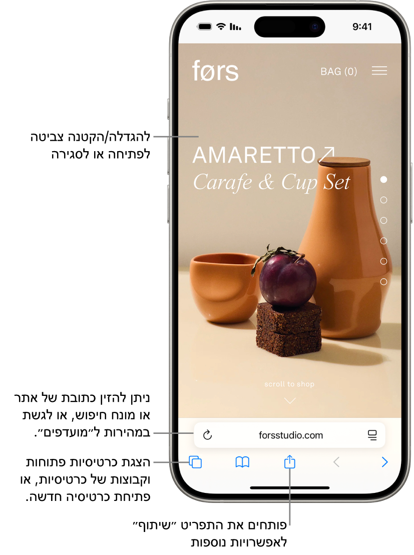 רואים אתר אינטרנט פתוח ב-Safari, עם שדה הכתובת בתחתית האתר. לאורך החלק התחתון, מימין לשמאל, נמצאים הכפתורים ״הקודם״, ״הבא״, ״סימניות״ וכרטיסיות״.