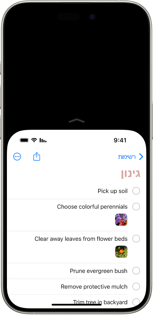 מסך ה‑iPhone שבו המאפיין ״גישה קלה״ מופעל. חלקו העליון של המסך זז למטה כדי לאפשר גישה נוחה עם האגודל.