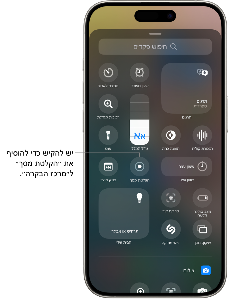 גלריית הפקדים עם הכפתור ״הקלטת מסך״ במרכז המסך.