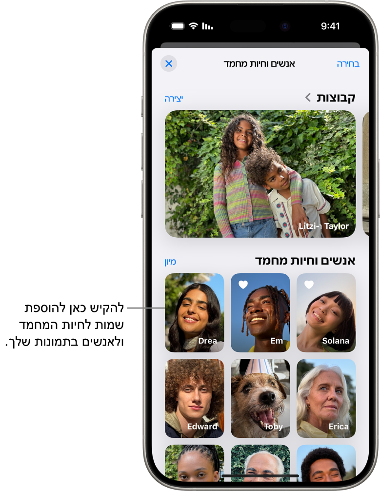 האוסף ״אנשים וחיות מחמד״ ביישום ״תמונות״. למעלה רואים את ״קבוצות״ ומתחת את ״אנשים וחיות מחמד״.