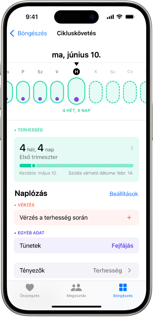 A Cikluskövetés képernyő, amelynek tetején egy terhesség egy hetet megjelenítő idővonala látható. Világoszöld ellipszisek és lila pontok jelzik az első 5 napot az idővonalon. Az idővonalon lévő többi napot szaggatott világoszöld ellipszisek jelölik. Az idővonal alatt a terhesség összegzése látható a magzati életkorral, a terhesség kezdetének dátumával és a szülés várható dátumával. A terhesség összegzése alatt lévő opciókkal információkat adhat meg a terhesség során tapasztalt vérzésekről, tünetekről és egyebekről.