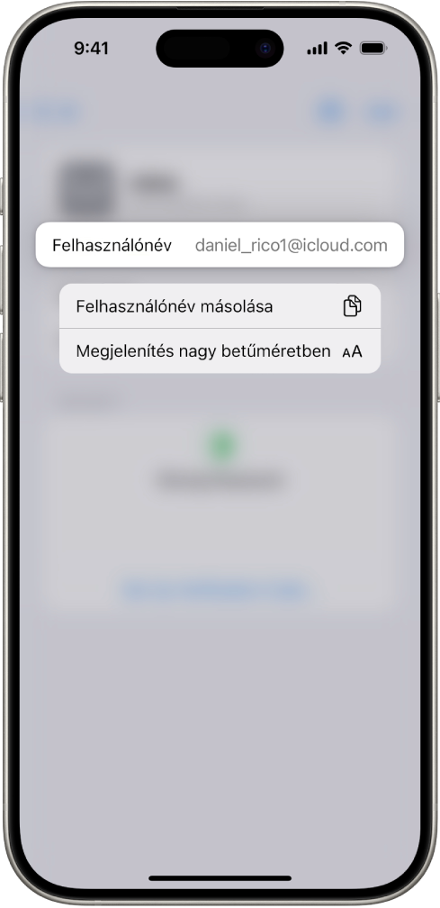 Egy fiókképernyő, amelyen a felhasználónév van kiemelve, a Felhasználónév másolása és a Megjelenítés nagy betűméretben opcióval.