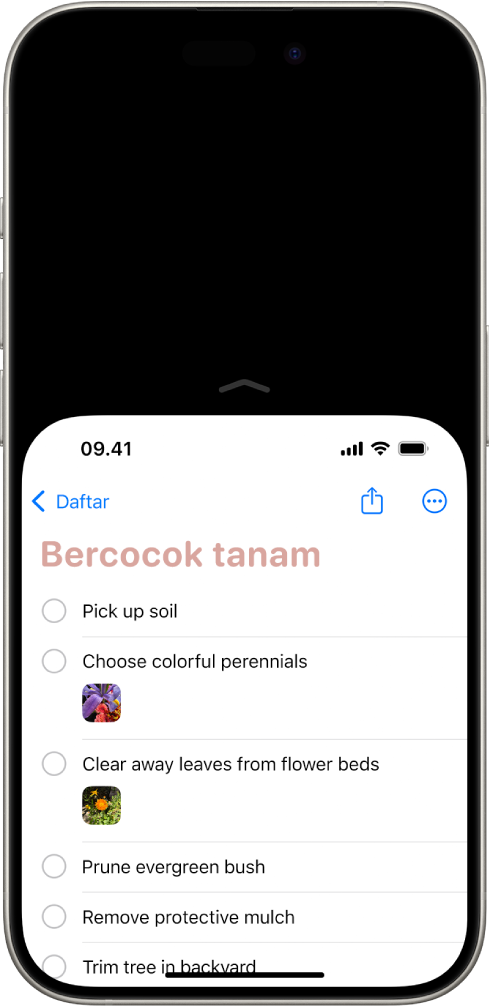 Layar iPhone dengan Keterjangkauan yang diaktifkan. Bagian atas layar telah pindah ke bawah, sehingga mudah dijangkau dengan ibu jari.