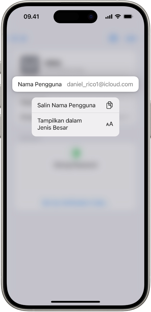 Layar akun yang menampilkan nama pengguna yang disorot, dengan pilihan salin Nama Pengguna dan Tampilkan dalam Jenis Besar.