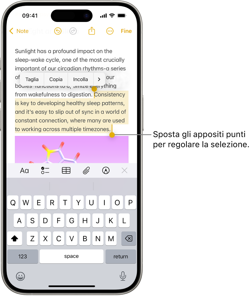 Nell’app Note, un testo è selezionato in una nota. Sopra il testo selezionato ci sono i pulsanti Taglia, Copia, Incolla e “Inserimento automatico”. Il testo selezionato è evidenziato, con punti su ciascun lato che possono essere trascinati per regolare la selezione.