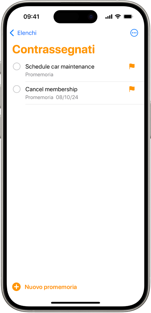 Una schermata di Promemoria che mostra un elenco smart con tutti gli elementi contrassegnati.
