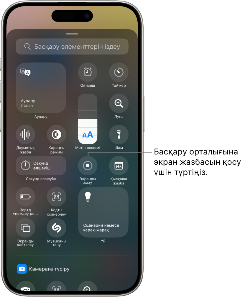 Экранның ортасында экранды жазу түймесі бар басқару элементтері галереясы.
