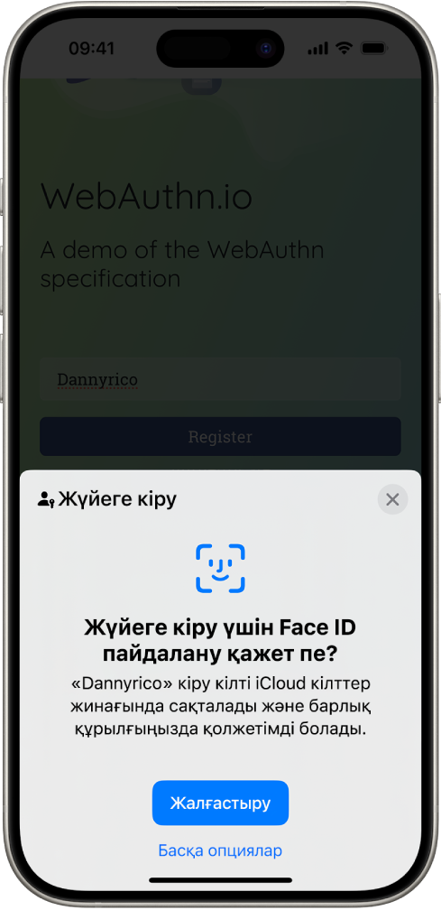 iPhone экранының төменгі жартысы веб-сайтқа кіру үшін кіру кілттерді пайдалану опциясын береді. Онда кіру кілтті сақтау үшін «Жалғастыру» түймесі және «Басқа опциялар» түймесі бар.