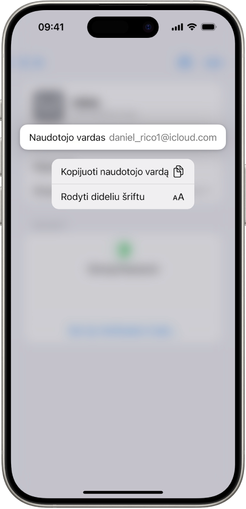 Paskyros ekrane rodomas paryškintas naudotojo vardas su parinktimis „Kopijuoti naudotojo vardą“ ir „Rodyti dideliu tekstu“.