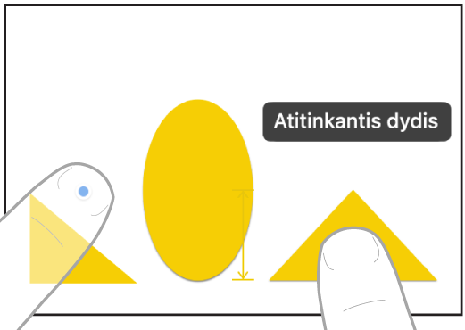 Dviem dviejų rankų pirštais pasirenkami du elementai ir suderinami jų dydžiai programoje „Freeform“.