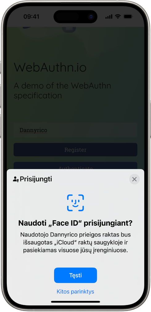 Apatinėje „iPhone“ ekrano pusėje yra galimybė prisijungti prie svetainės naudojant prieigos raktus. Jame yra mygtukas „Tęsti“, skirtas išsaugoti prieigos raktą, ir mygtukas „Kitos parinktys“.