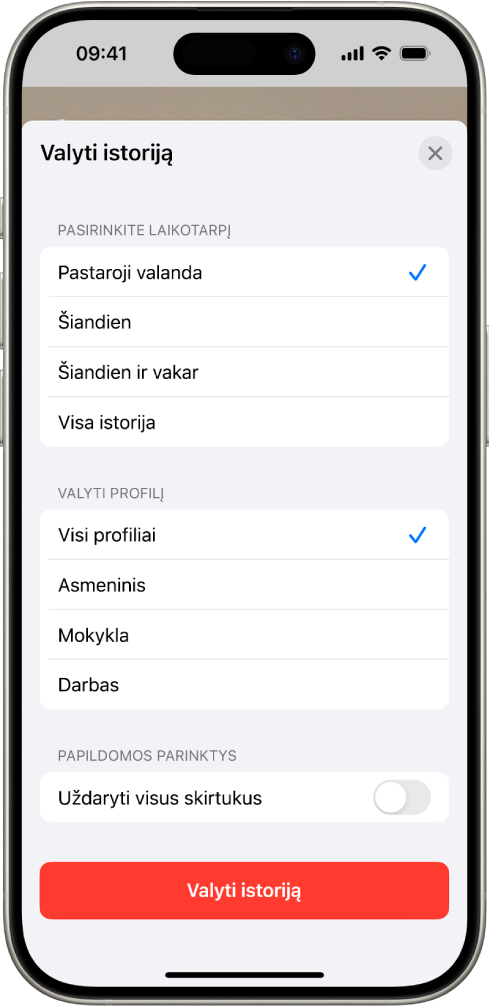 Meniu „Valyti istoriją“. Po „Pasirinkite laikotarpį“ pasirinkta „Pastaroji valanda“. Visi profiliai pasirenkama po „Valyti profilį“. Ekrano apačioje rodomas mygtukas „Valyti istoriją“.