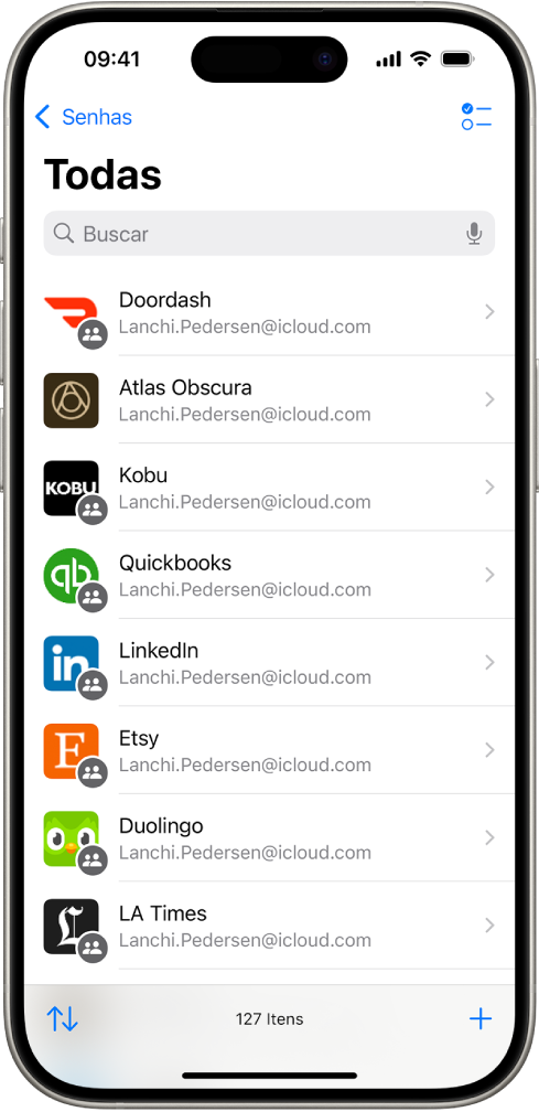Uma lista de apps no app Senhas.