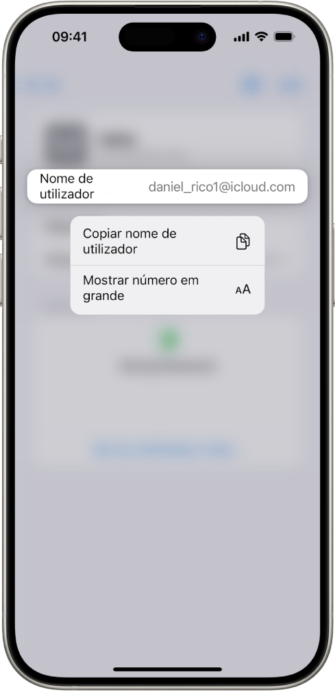 O ecrã de uma conta a mostrar o nome de utilizador realçado com opções para “Copiar nome de utilizador” e “Mostrar número em grande”.