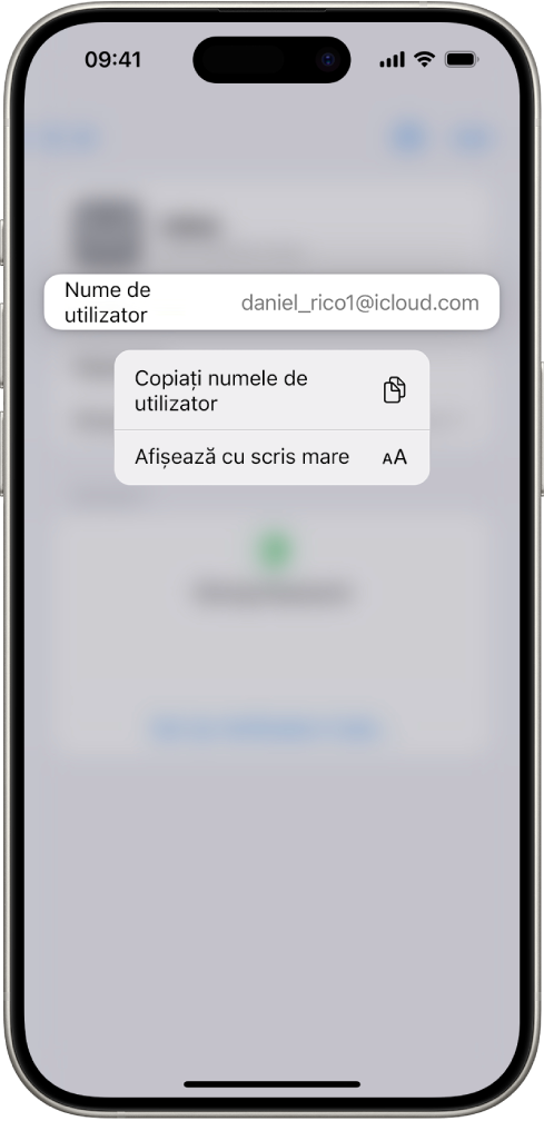 Ecranul unui cont afișând numele de utilizator evidențiat, cu opțiunile Copiați numele de utilizator și Afișați cu scris mare.