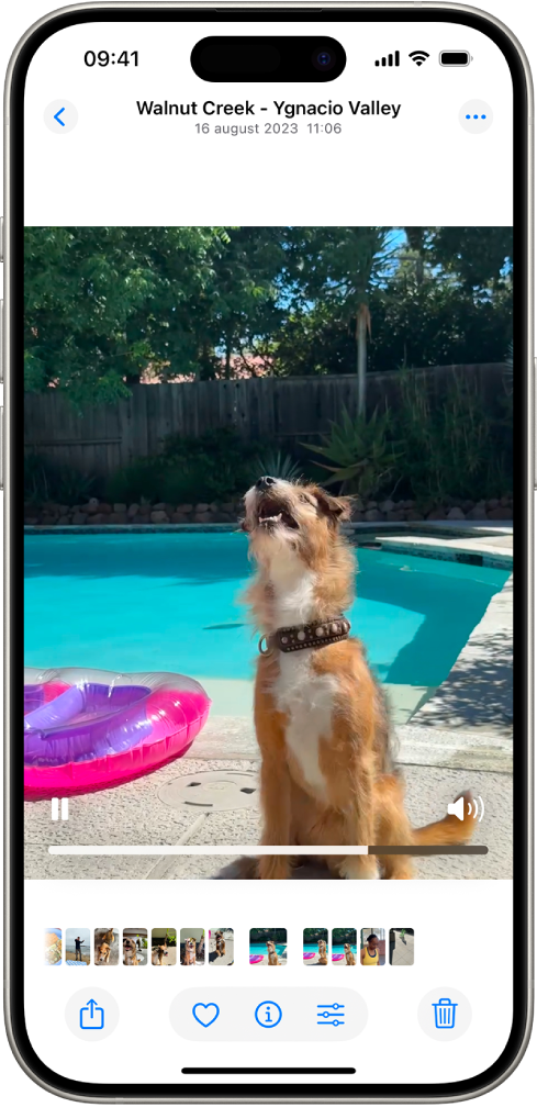 Un clip video deschis cu un buton Redare/Suspendare, o bară de evoluție și un buton Mod mut/Volum de-a lungul părții de jos. În dreapta sus se află butonul Închideți, care vă readuce la explorare.