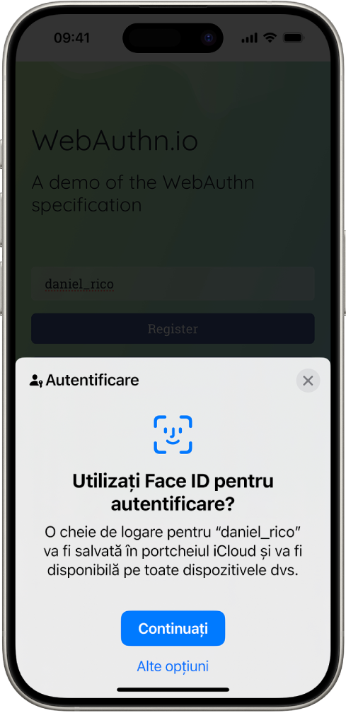 Un ecran de autentificare care este afișat atunci când o cheie de logare este salvată pentru cont. Butoanele Continuați și Alte opțiuni se află în partea de jos a ecranului.