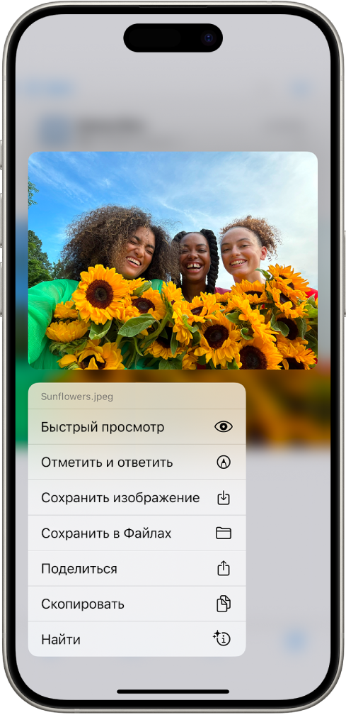 В электронном письме выбрано вложение, и перечислены доступные действия: