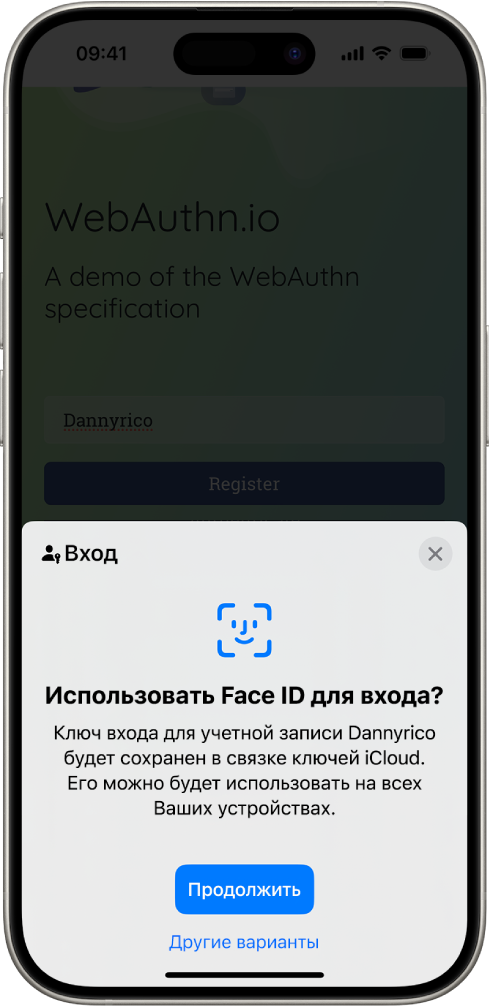 Внизу экрана iPhone предлагается выполнить вход на сайте с использованием ключей входа. Показаны кнопки «Продолжить» для сохранения ключа входа и «Другие варианты».