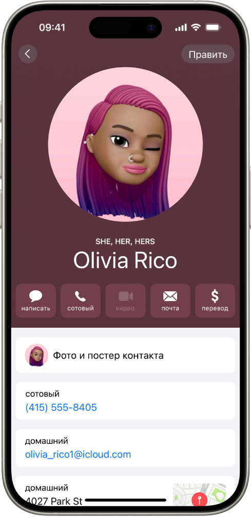 Контакт с именем Саша Миронова. Под фото контакта указаны местоимения: она, ее, ей. Под именем отображаются кнопки для отправки сообщения, совершения вызова, отправки электронного письма и совершения действия через Apple Pay. Внизу экрана показаны номер мобильного телефона и адрес электронной почты контакта.