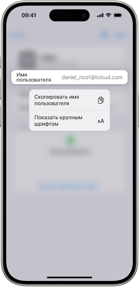 На экране учетной записи выделено имя пользователя. Показаны параметры «Скопировать имя пользователя» и «Показать крупным шрифтом».
