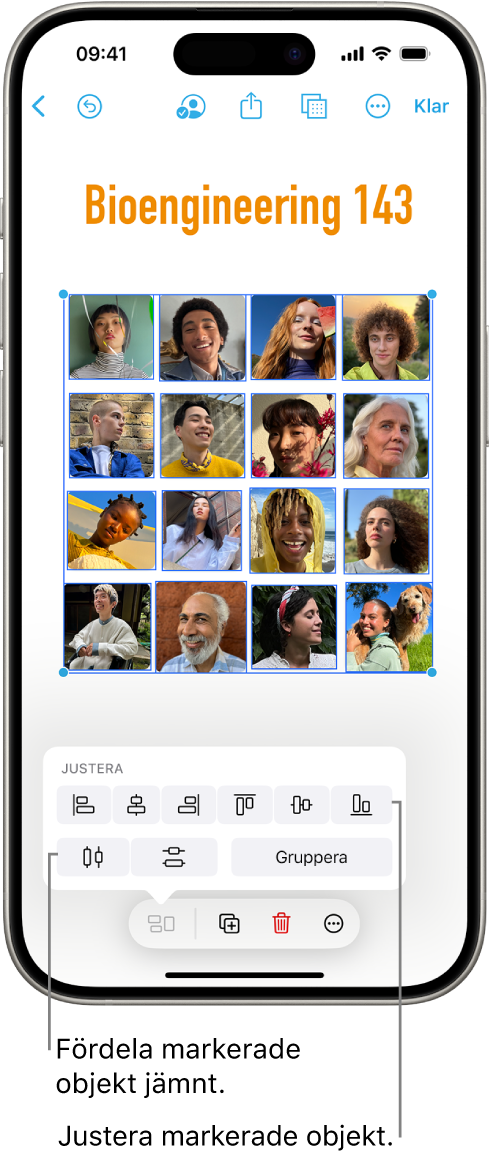 En Freeform-tavla fylld med bilder i ett rutnät. Flera bilder är markerade, och justerings- och grupperingsverktygen visas ovanför dem.