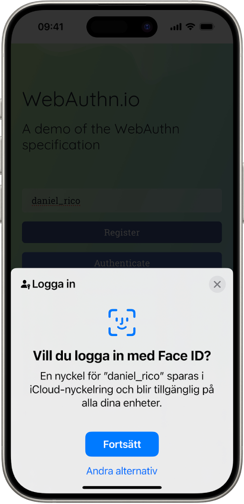 En inloggningsskärm som visas när en nyckel har sparats för kontot. Knapparna Fortsätt och Andra alternativ finns längst ned på skärmen.