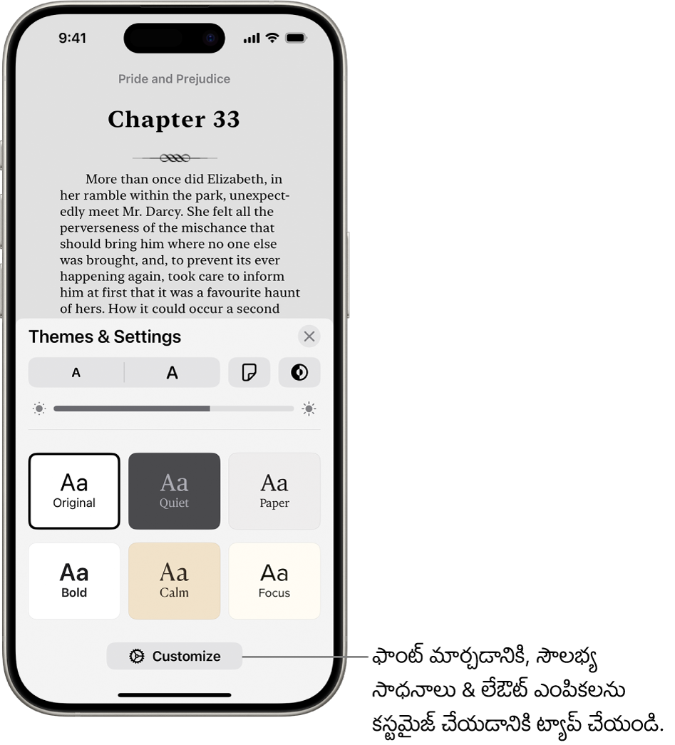 పుస్తకాలు యాప్‌లోని పుస్తకం పేజీ. థీమ్స్ & సెట్టింగ్స్ ఎంపికలు ఫాంట్ సైజ్, స్క్రోలింగ్ వీక్షణ, పేజీని తిప్పే స్టైల్, బ్రైట్‌నెస్, ఫాంట్ స్టైల్స్ కోసం కంట్రోల్‌ను చూపుతాయి.