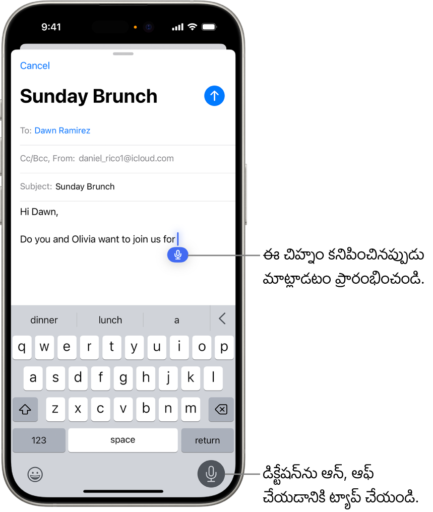 Mail యాప్లో తెరవబడిన స్క్రీన్పై కనిపించే కీబోర్డ్. స్క్రీన్ దిగువ కుడి మూలన ఉన్న డిక్టేషన్ బటన్ ఎంచుకోబడింది, టెక్స్ట్ ఫీల్డ్లో ఇన్సర్షన్ పాయింట్ దిగువన డిక్టేషన్ బటన్ కనిపిస్తుంది.