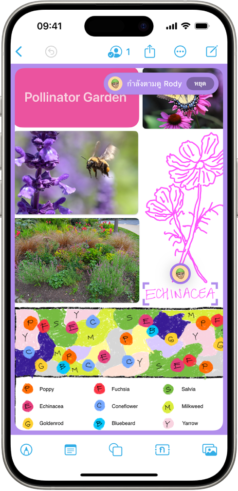 แอป Freeform ที่แสดงบุคคลที่กำลังถูกตามดู พร้อมมุมมอง รูปประจำตัว และรายการที่พวกเขาเลือกไว้ซึ่งจะแสดงเป็นสีม่วง