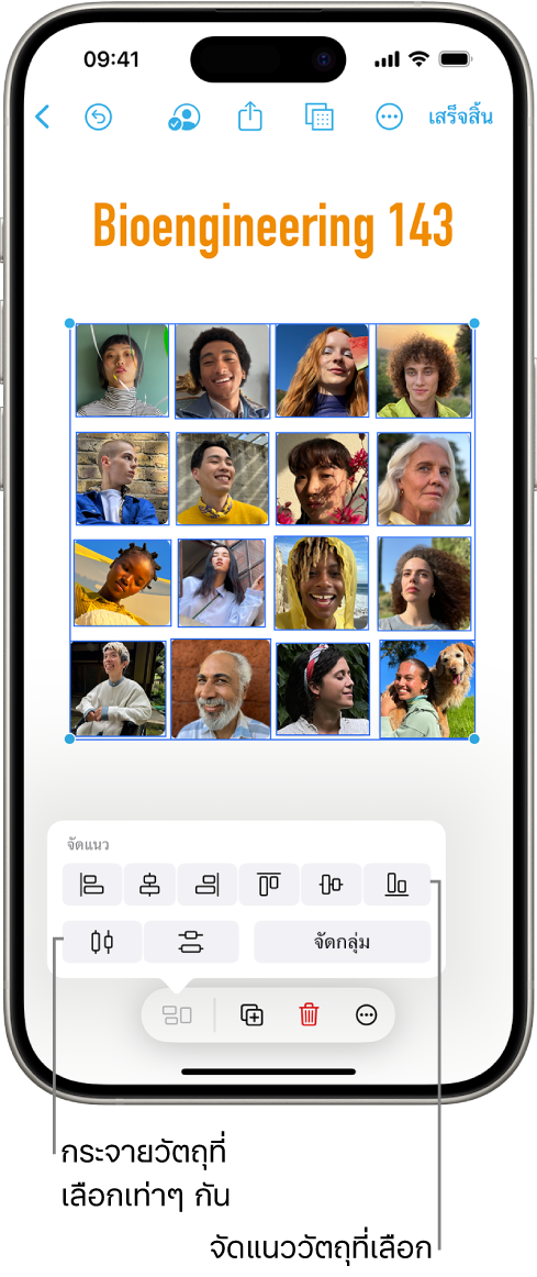 บอร์ด Freeform ที่เติมเต็มด้วยตารางของรูปภาพ รูปภาพหลายรูปถูกเลือก และเครื่องมือการจัดแนวและเครื่องมือการจัดกลุ่มแสดงขึ้นเหนือรูปภาพ