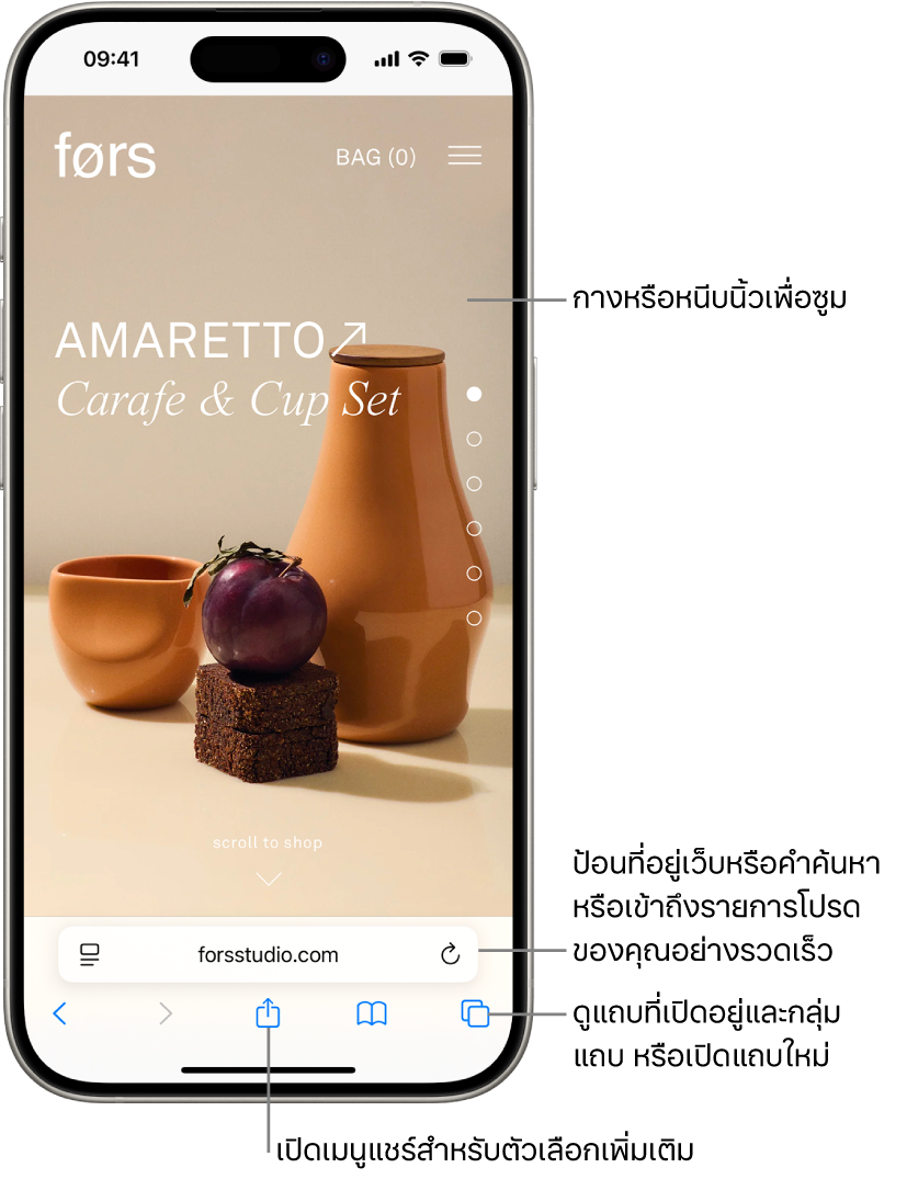 เว็บไซต์ที่เปิดอยูู่ใน Safari พร้อมกับมีช่องที่อยู่ที่ด้านล่างสุด ที่ด้านล่างสุด เรียงจากซ้ายไปขวา คือปุ่มย้อนกลับ ปุ่มไปข้างหน้า ปุ่มแชร์ ปุ่มที่คั่นหน้า และปุ่มแถบ