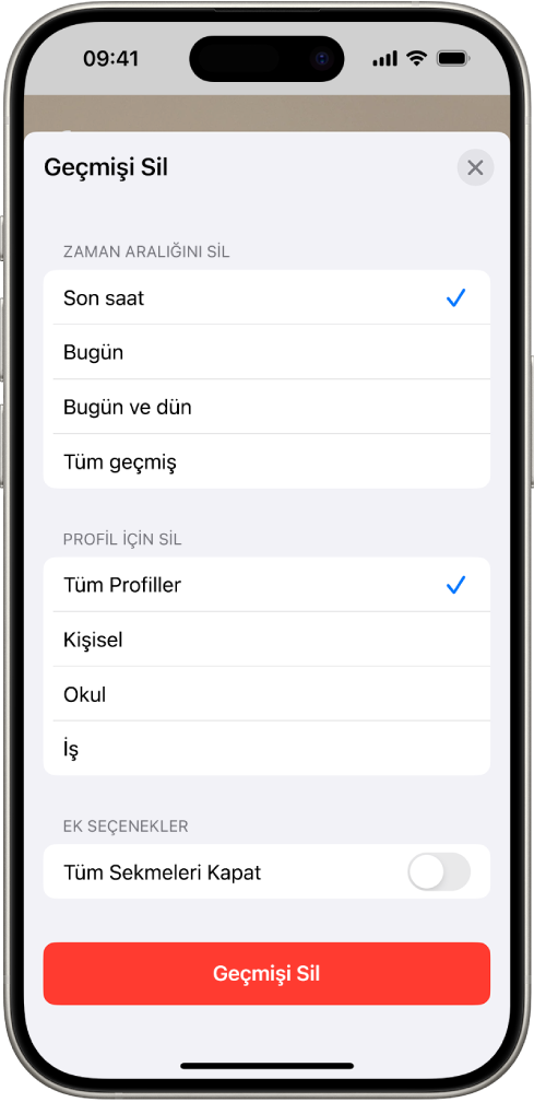 Geçmişi Sil menüsü. Zaman Aralığını Sil’in altında Son saat seçili. Profil İçin Sil’in altında Tüm Profiller seçili. Geçmişi Sil düğmesi ekranın en altında.