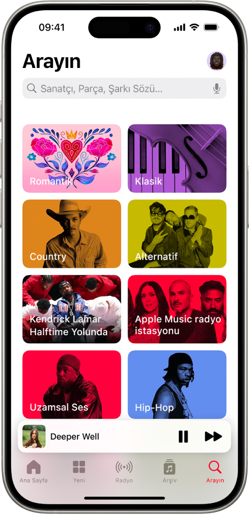 En üstte arama alanını gösteren Ara ekranı. Alt tarafta sekiz müzik kategorisi görünüyor.