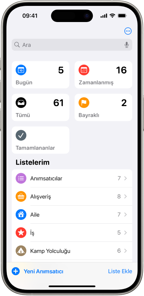 Bir Anımsatıcılar ekranı, en üstte arama alanını ve altta birden çok listeyi gösteriyor.