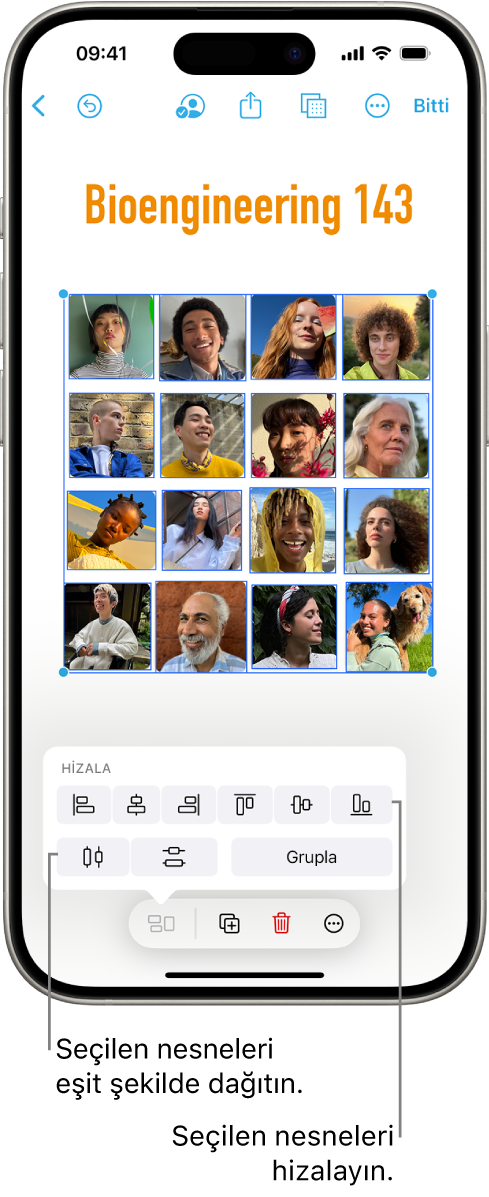 Izgara şeklinde fotoğraflarla dolu bir Freeform panosu. Birden fazla fotoğraf seçili, hizalama ve gruplama araçları üstlerinde görünüyor.