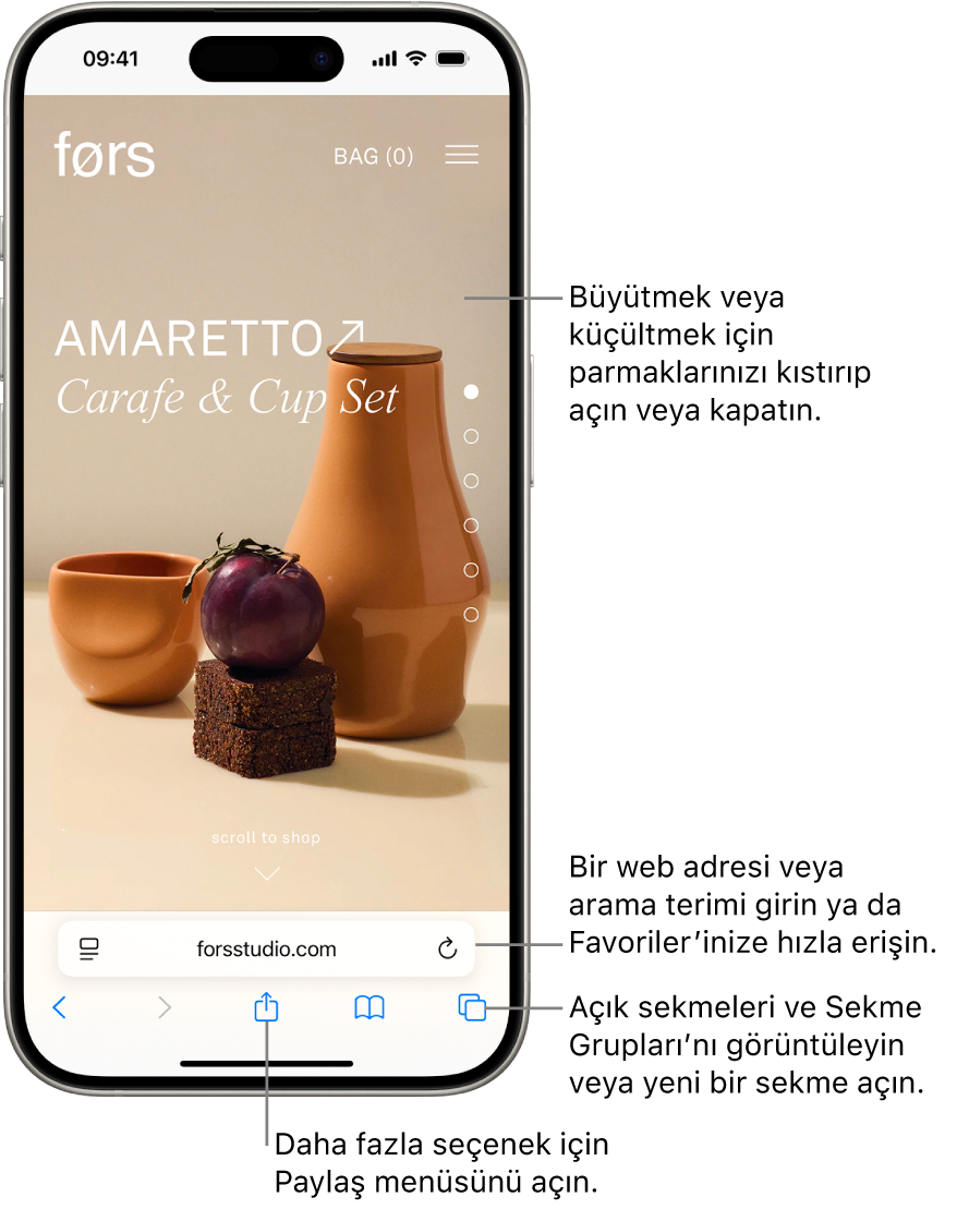 Safari’de açık bir web sitesi; adres alanı en altta. En altta, soldan sağa doğru Geri, İleri, Paylaş, Yer İşaretleri ve Sekmeler düğmeleri var.